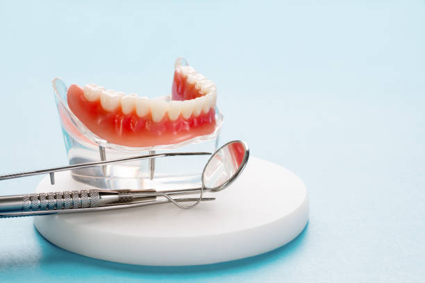 Professional Dental Services in Egypt Lake Leto, FL